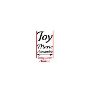 Puede incluir: Una l&iacute;nea roja con el texto "Joy Marie Alexandre" y las palabras "longueur choisie" debajo. El texto est&aacute; en fuente cursiva negra.