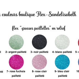 prénom personnalisé glitter très pailleté flex thermocollant dimensions couleurs et écritures au choix 4 image 2