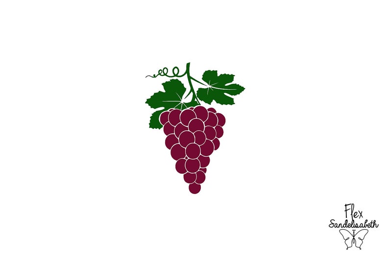 raisin grappe vin appliqué flex thermocollant dimension au choix image 1