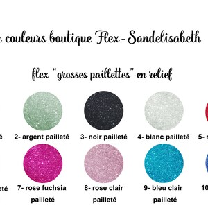 prénom personnalisé glitter très pailleté flex thermocollant dimensions couleurs et écritures au choix 3 image 2