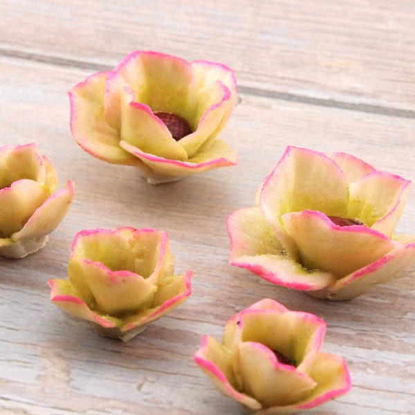 5 Fleurs de magnolia roses, modelées à la main en porcelaine froide