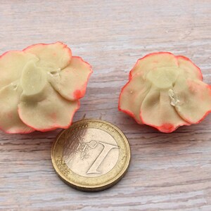 Flowers, 2 Coral Roses, hand modeled in cold porcelain image 5