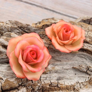 Flowers, 2 Coral Roses, hand modeled in cold porcelain image 2