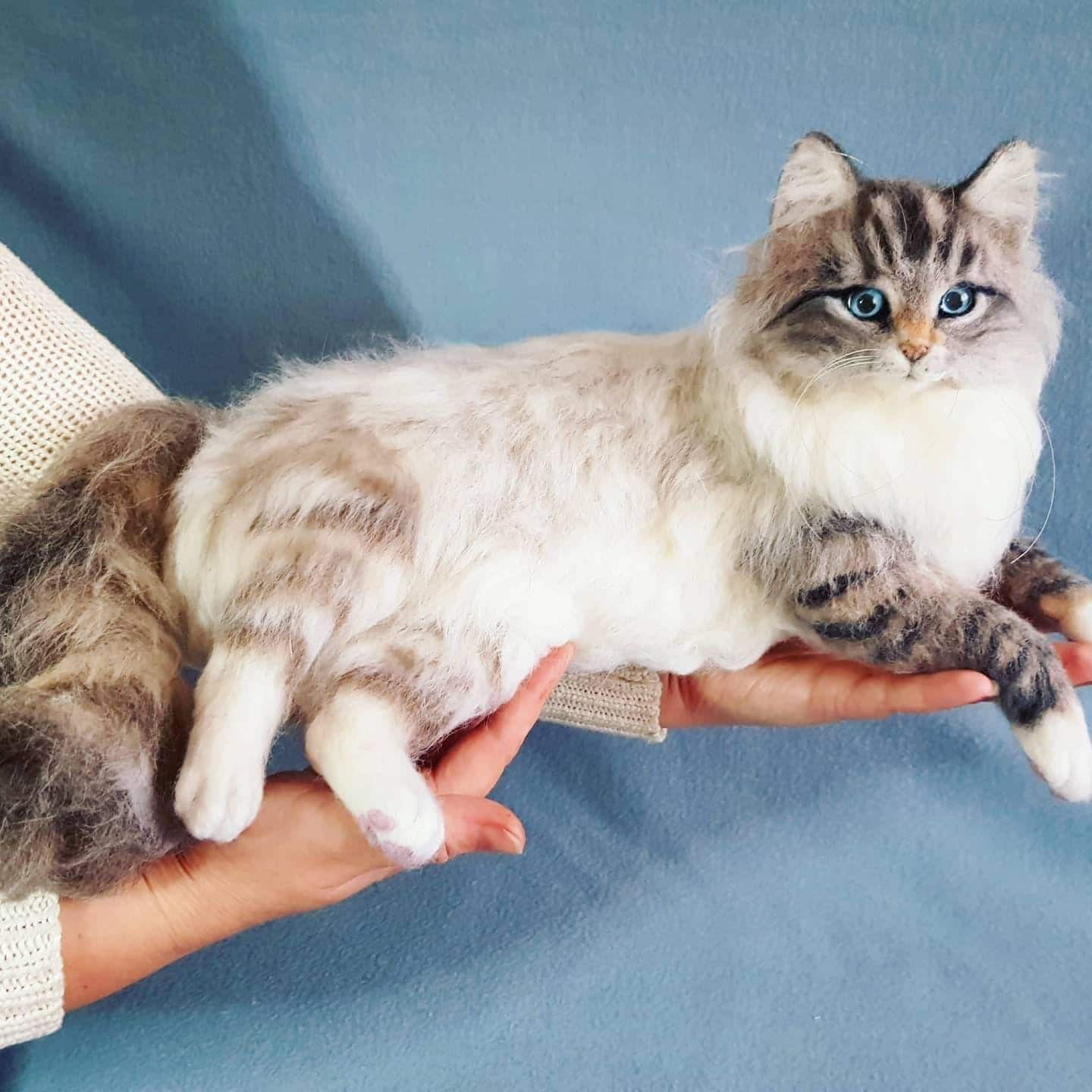 realistic teddy cat
