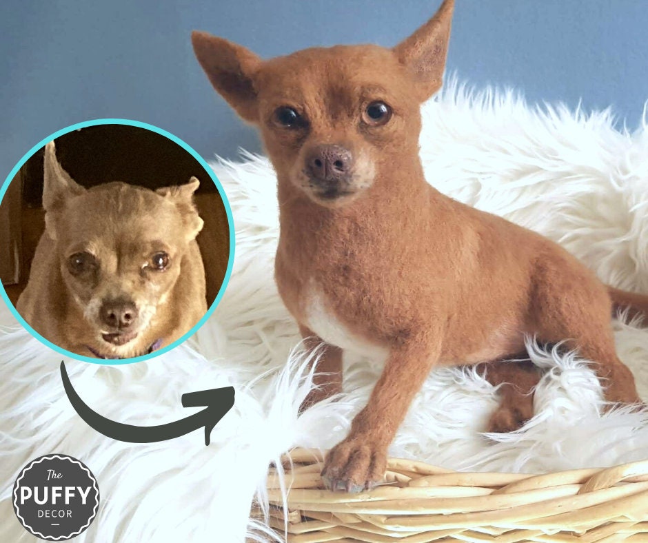 Custom Pet Clone - Etsy Custom Pet Clone - Etsy