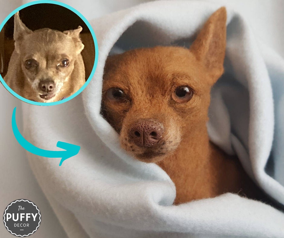 Are Chihuahuas Dangerous