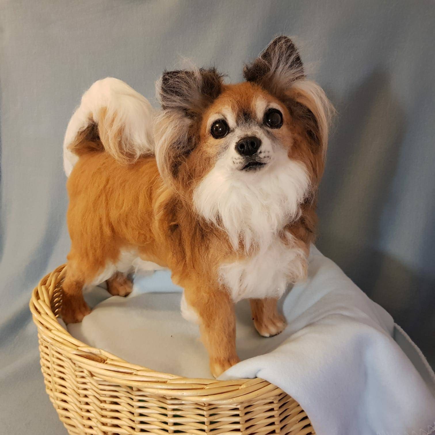 Comment Cloner Un Chien Avec Un Schéma D une Veritable Expérience Clone de caniche réaliste Animal de chien en peluche - Etsy France