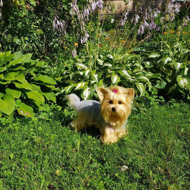 Custom York Replica Dog Stuffed Animal Realistic Dog Toy Etsy