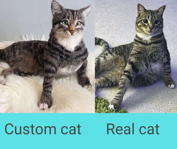 personalized cat stuffed animal