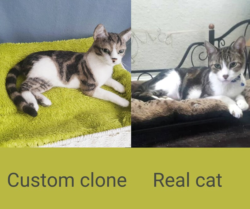 Realistic Custom Cat Clone Stuffed Animal Plush Cat Replica Etsy