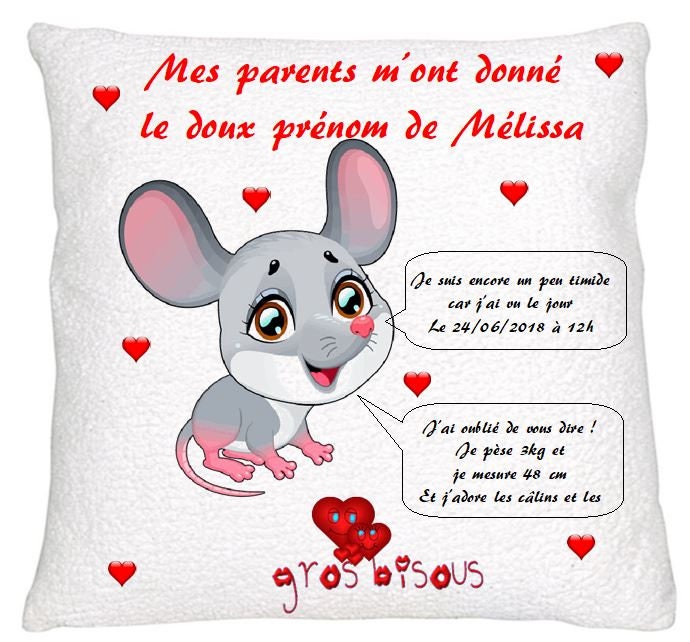 Coussin de Naissance à Personnaliser