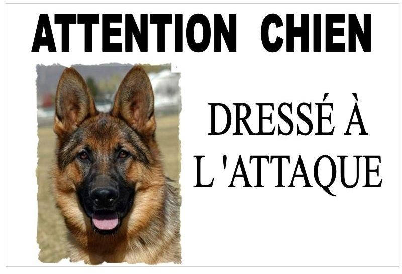 Plaque de Garde Plaque Attention Au Chien