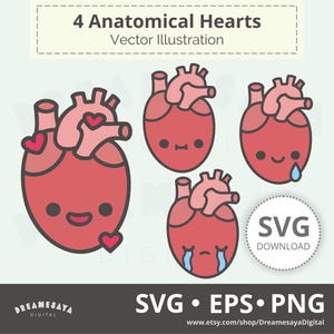 Anatomisches Herz SVG EPS PNG, Kawaii niedliche Cartoon menschlichen Körper Organ mit Gesichtern schneiden Dateien und ClipArt
