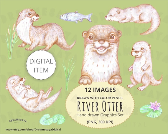Otter Clip Art Hand Drawn With Color Pencil Cute River Etsy