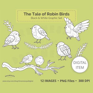 Paquete de imágenes prediseñadas de petirrojos para colorear, aves europeas, contorno en blanco y negro, para uso comercial