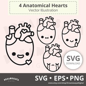 Human heart SVG outline whimsy cute cartoon anatomy body organ htv cut files and laser engraving design