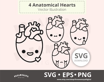 Human heart SVG outline cartoon anatomy body organ htv cut files laser engraving design