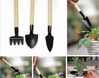 12 Pcs Ensemble De Râteaux Bois Bureau Petits Outils Jardin Mini Pour