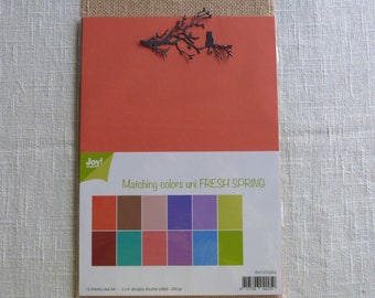 Assortiment de papier uni "fresh spring"