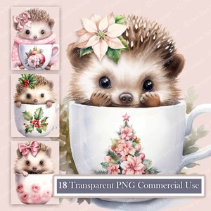 Pacchetto clipart acquerello tazza da tè ricci, 18 PNG trasparenti, uso commerciale, stampabile, digitale, Scrapbooking, inviti, Natale