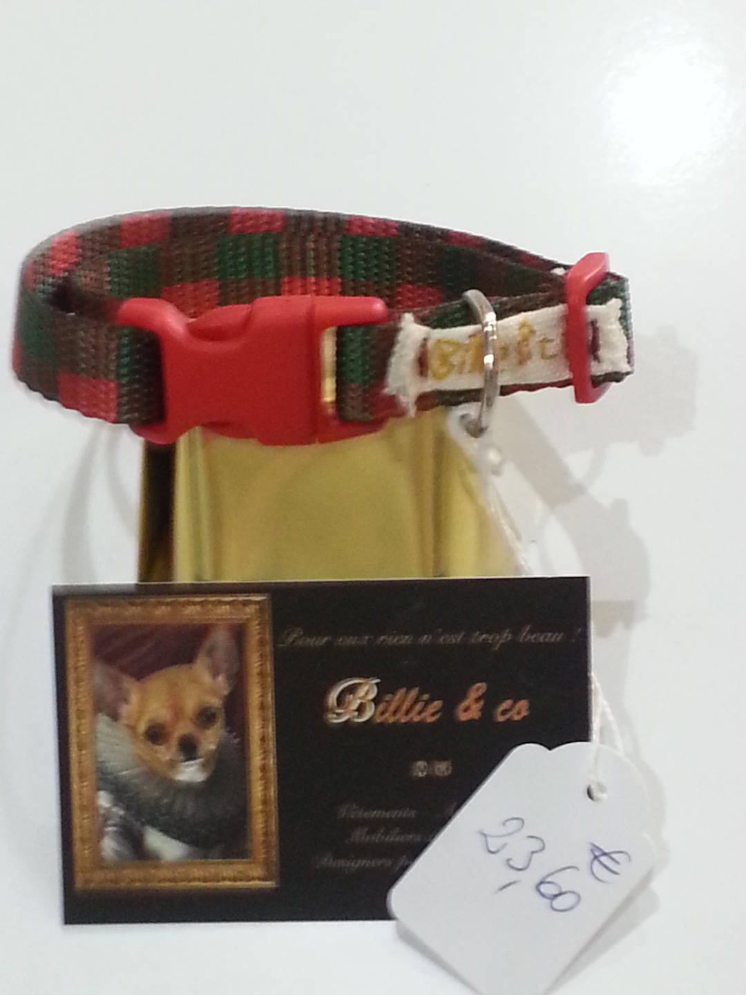 Collier en Sangle Polyester Pour Petit Chien ou Chat