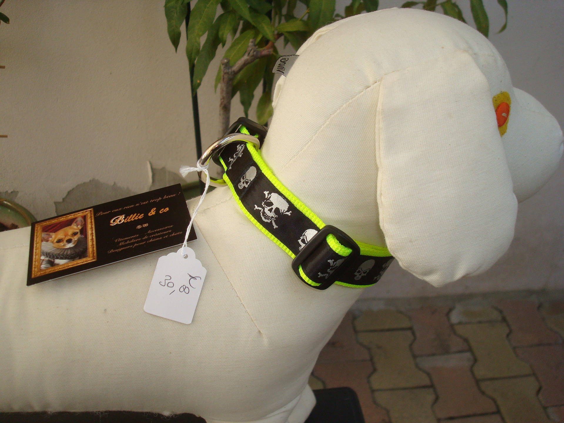 Collier Têtes de Mort Pour Chien Moyen