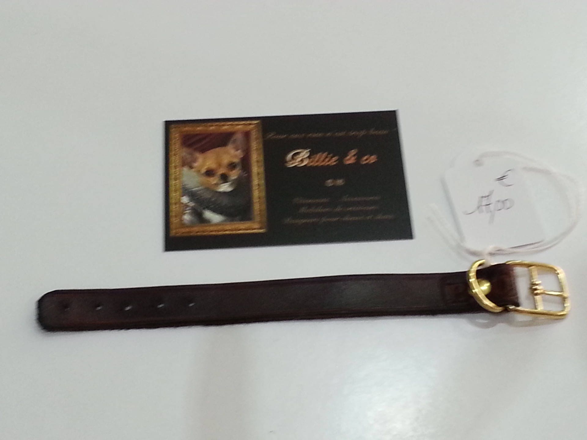 Collier Cuir Pour Petit Chien et ou Chat