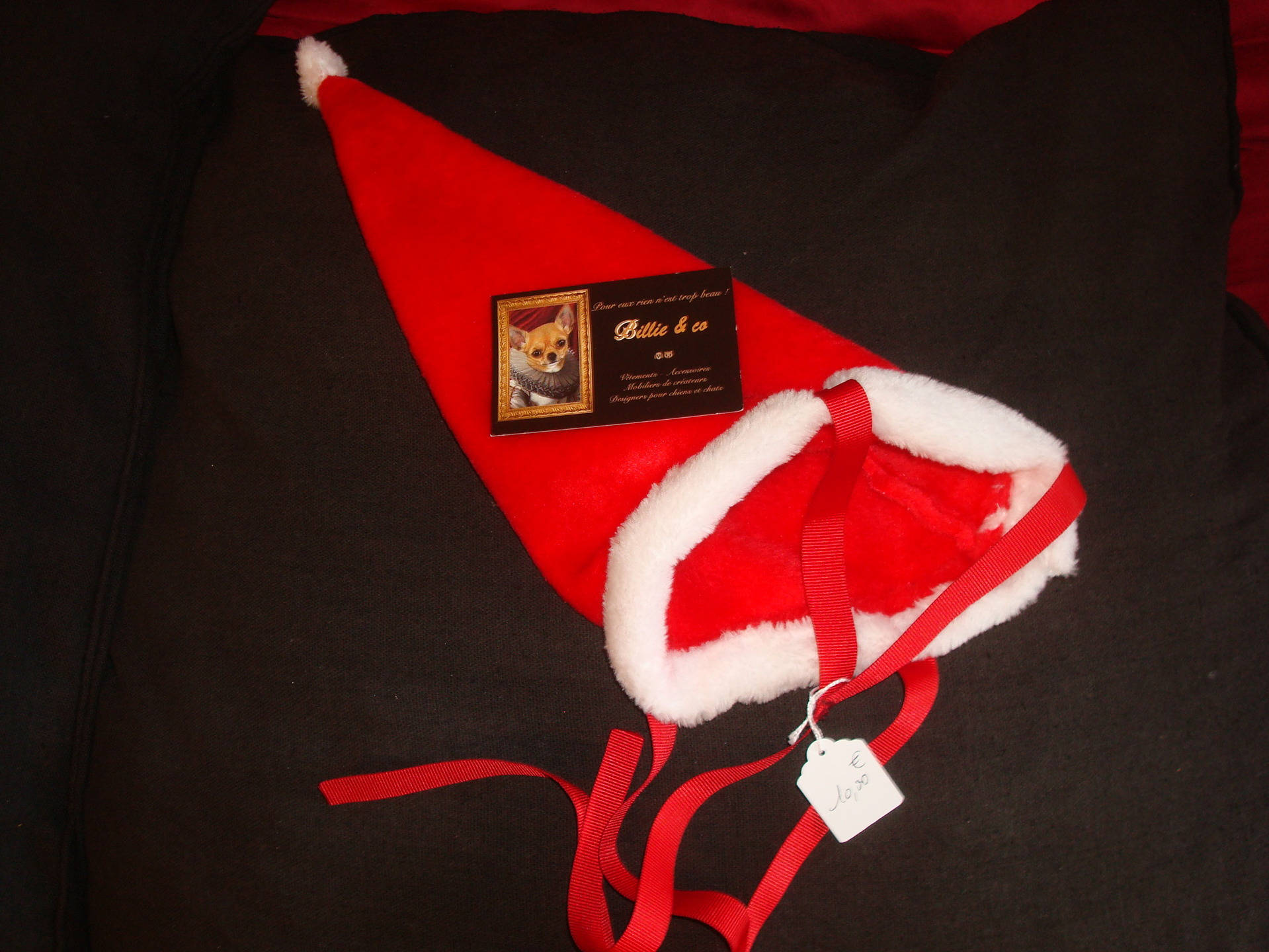 Bonnet Du Père Noël Pour Chien ou Chat