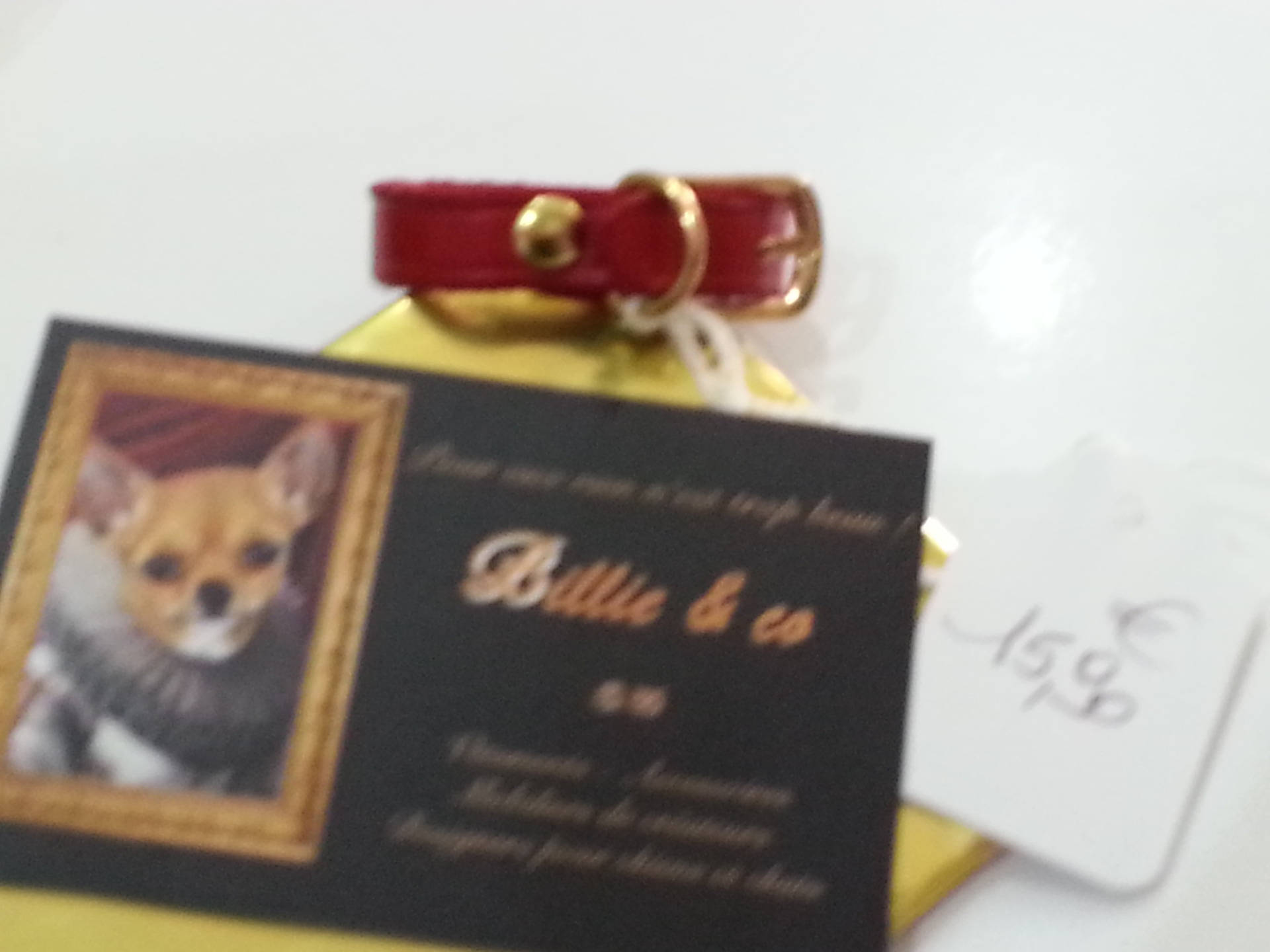 Collier en Cuir Pour Petit Chien ou Chat