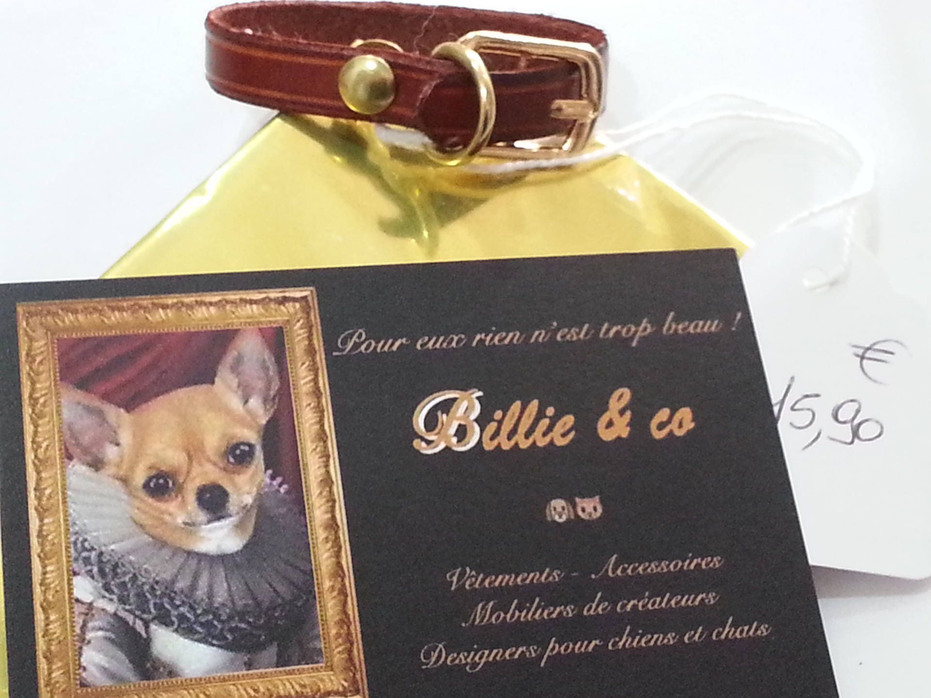 Collier en Cuir Pour Petit Chien ou Chat