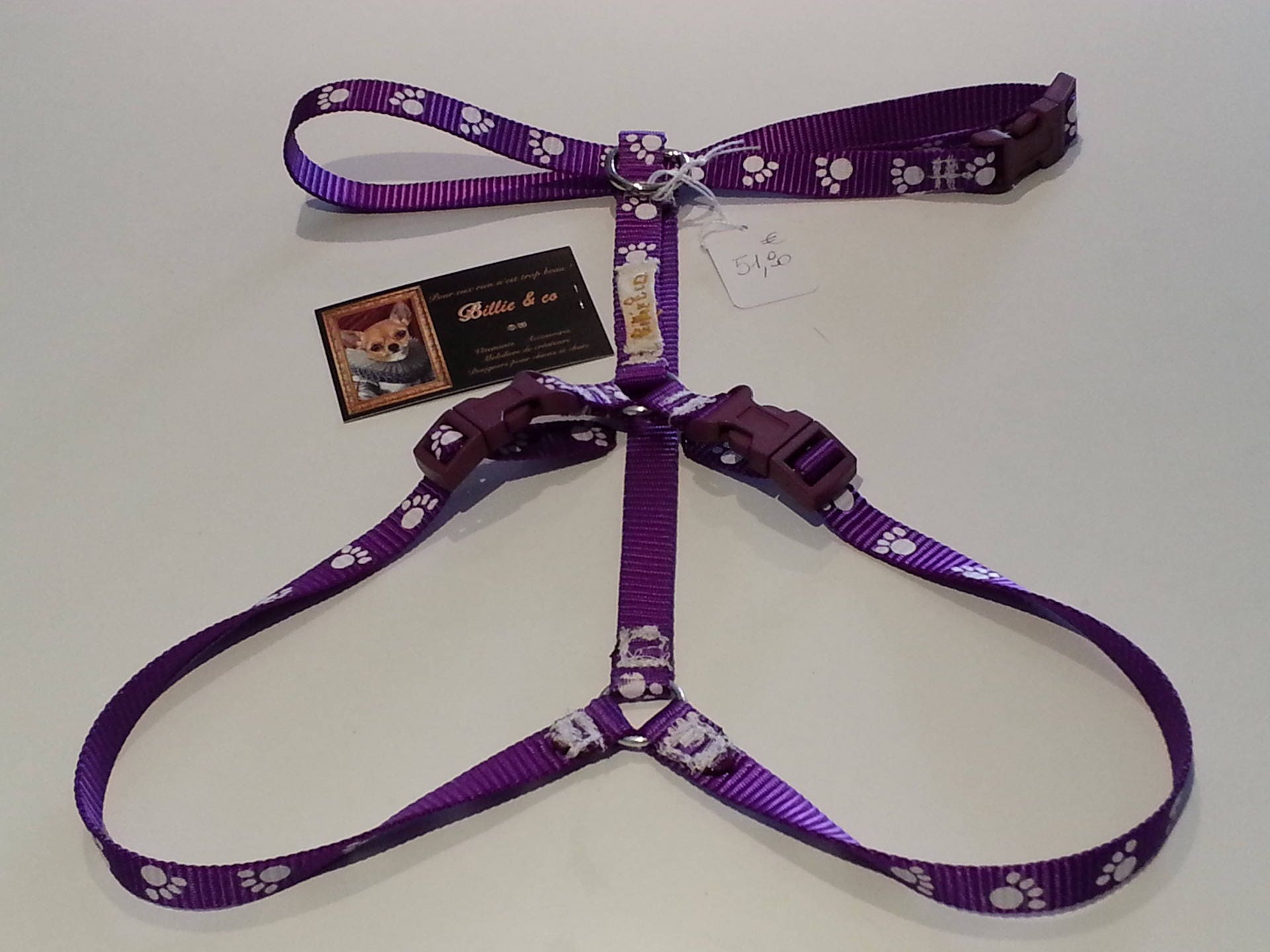 Harnais en Sangle Nylon Pour Chiens ou Chats