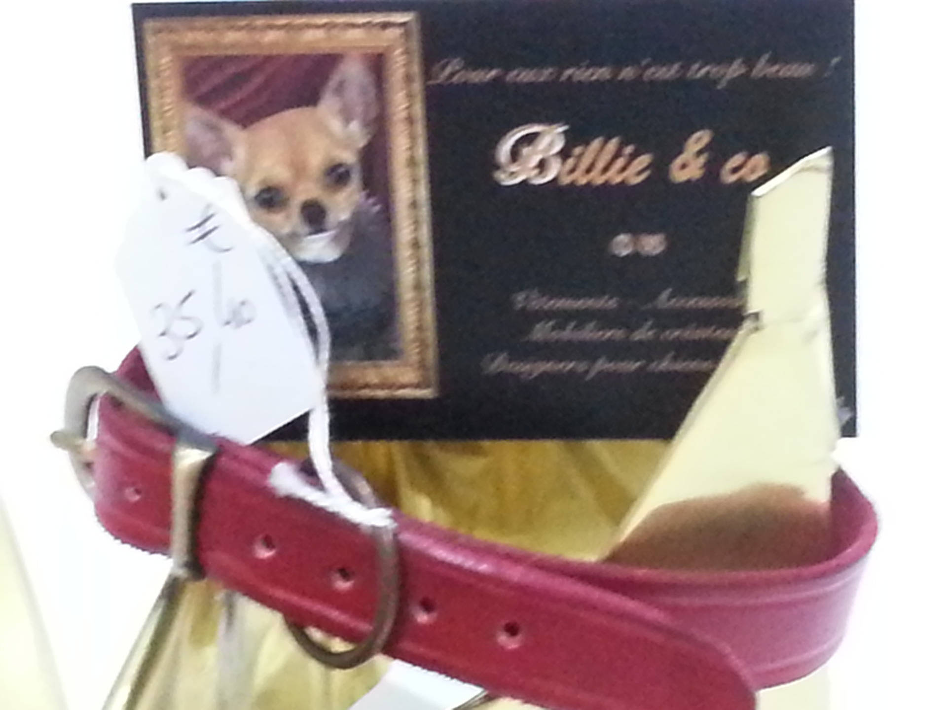 Collier Cuir Fin Rouge Pour Chien