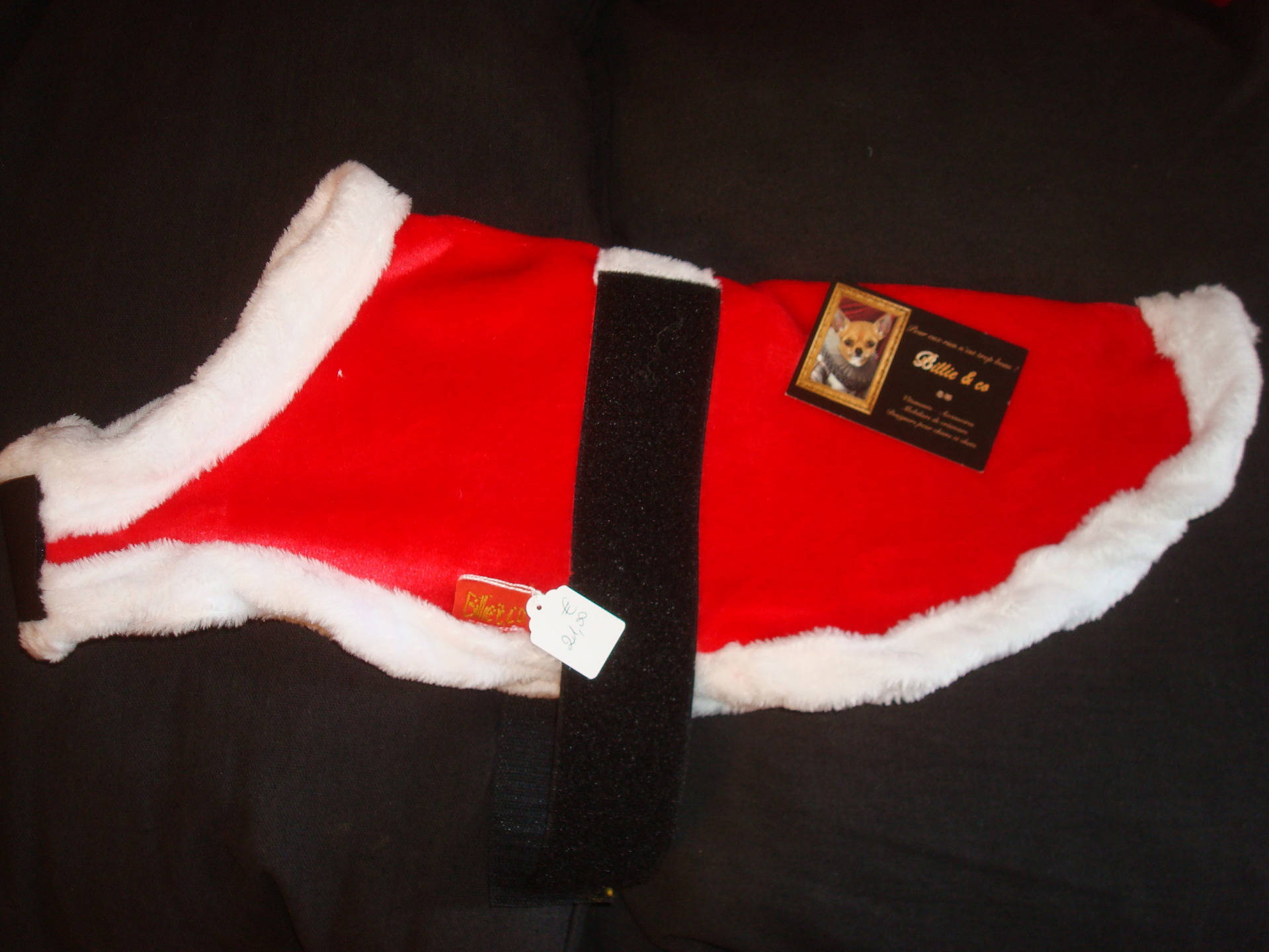 Manteau Rouge Du Père Noël Pour Chien