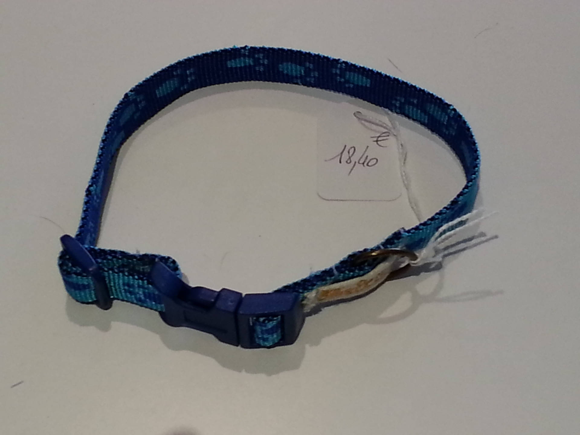 Collier Nylon Bleu Pour Chat ou Chien