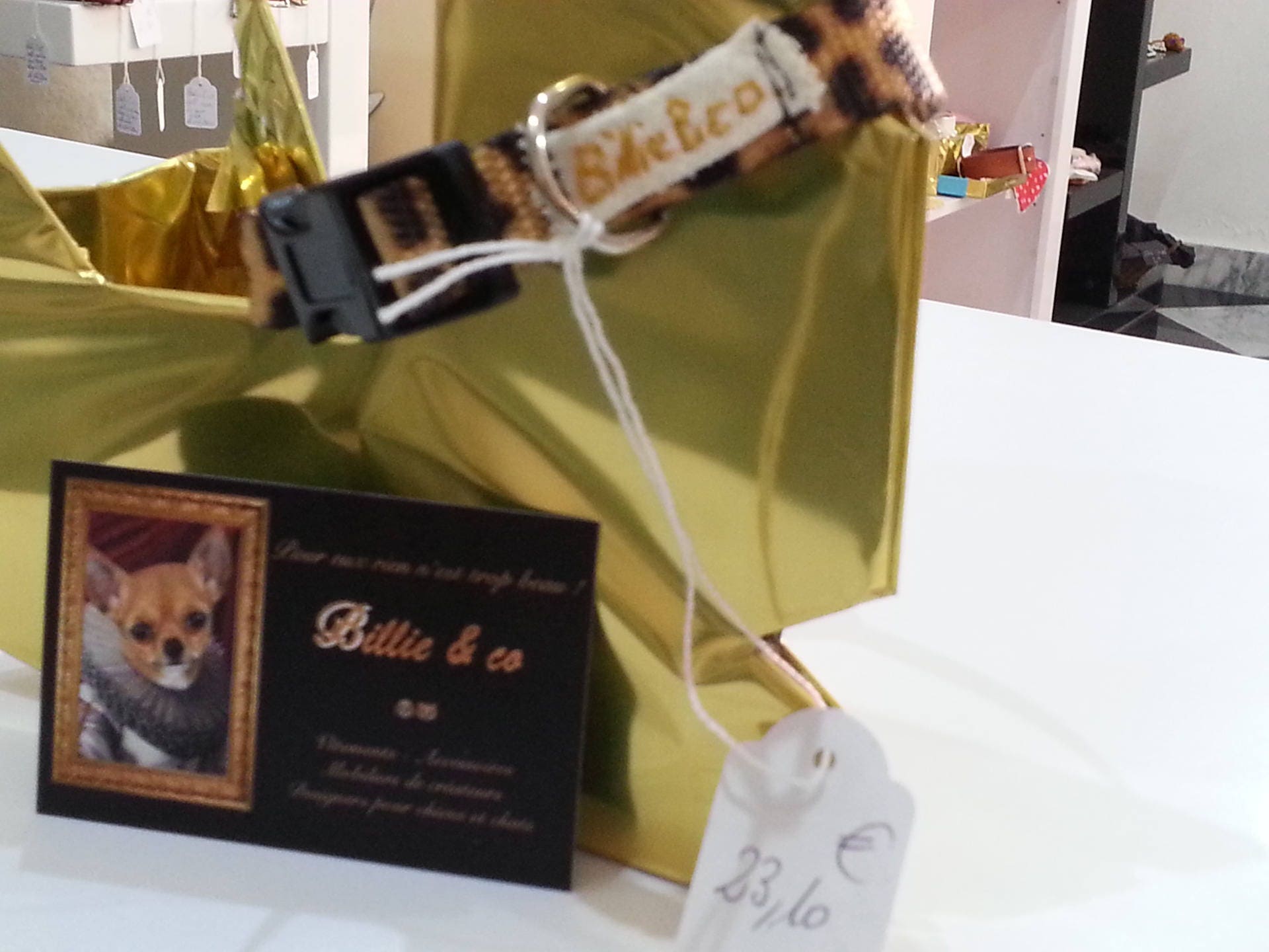 Collier Sangle Léopard Pour Chien ou Chat