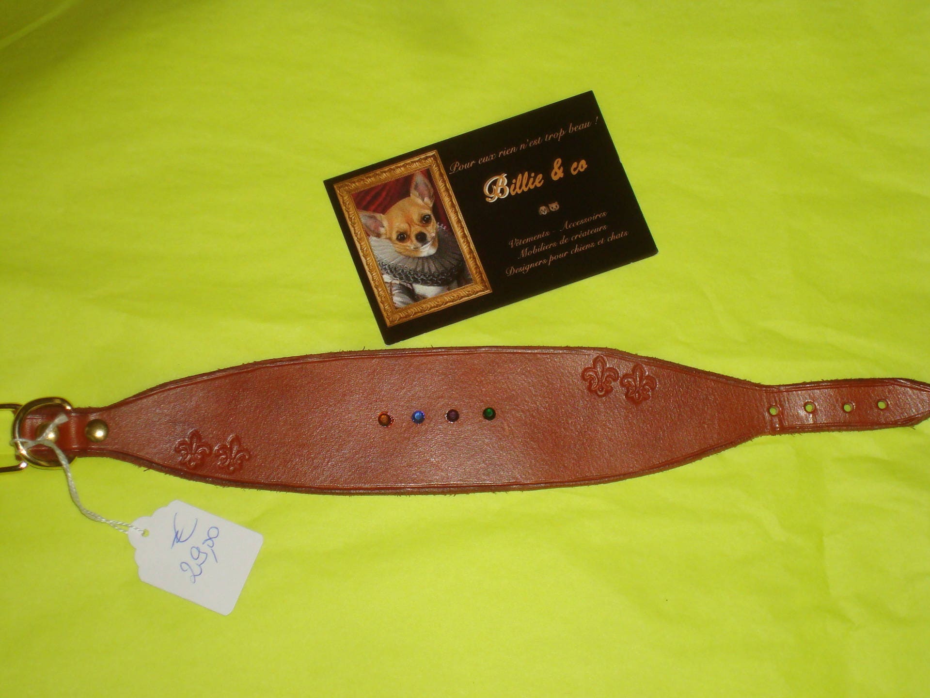 Collier Type Lévrier en Cuir et Strass Pour Chien