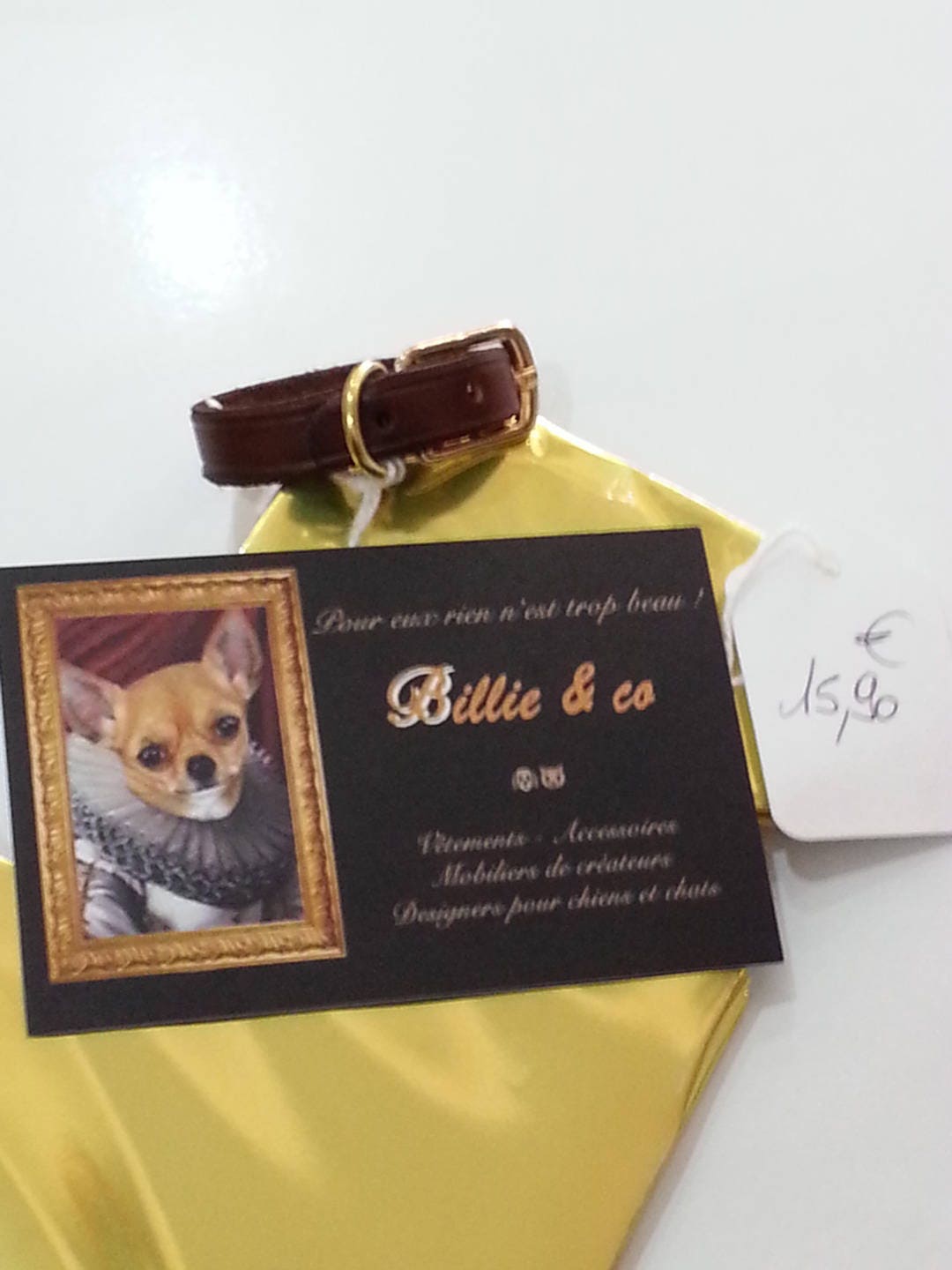 Collier en Cuir Pour Petit Chien ou Chat