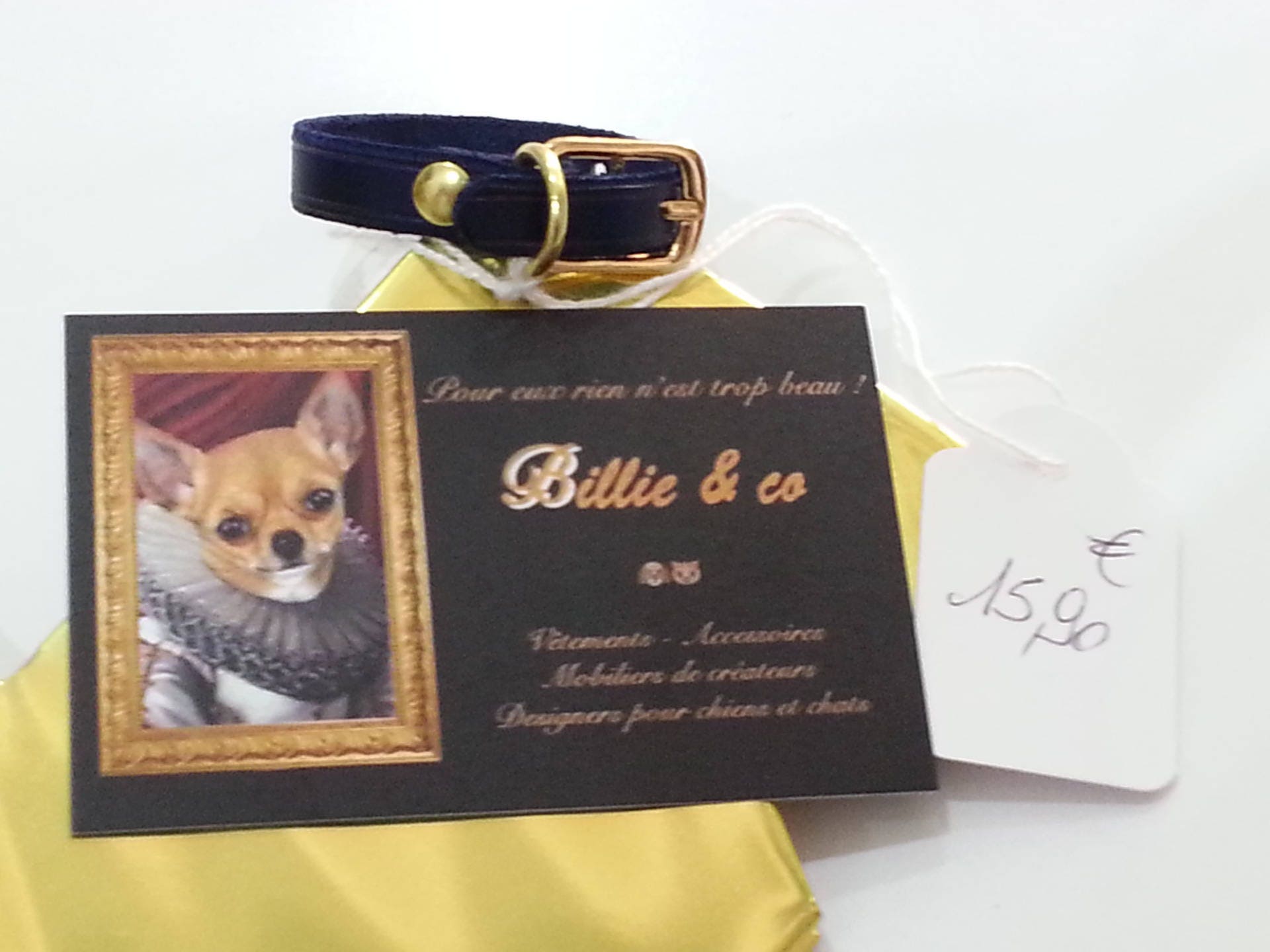 Collier en Cuir Pour Petit Chien ou Chat