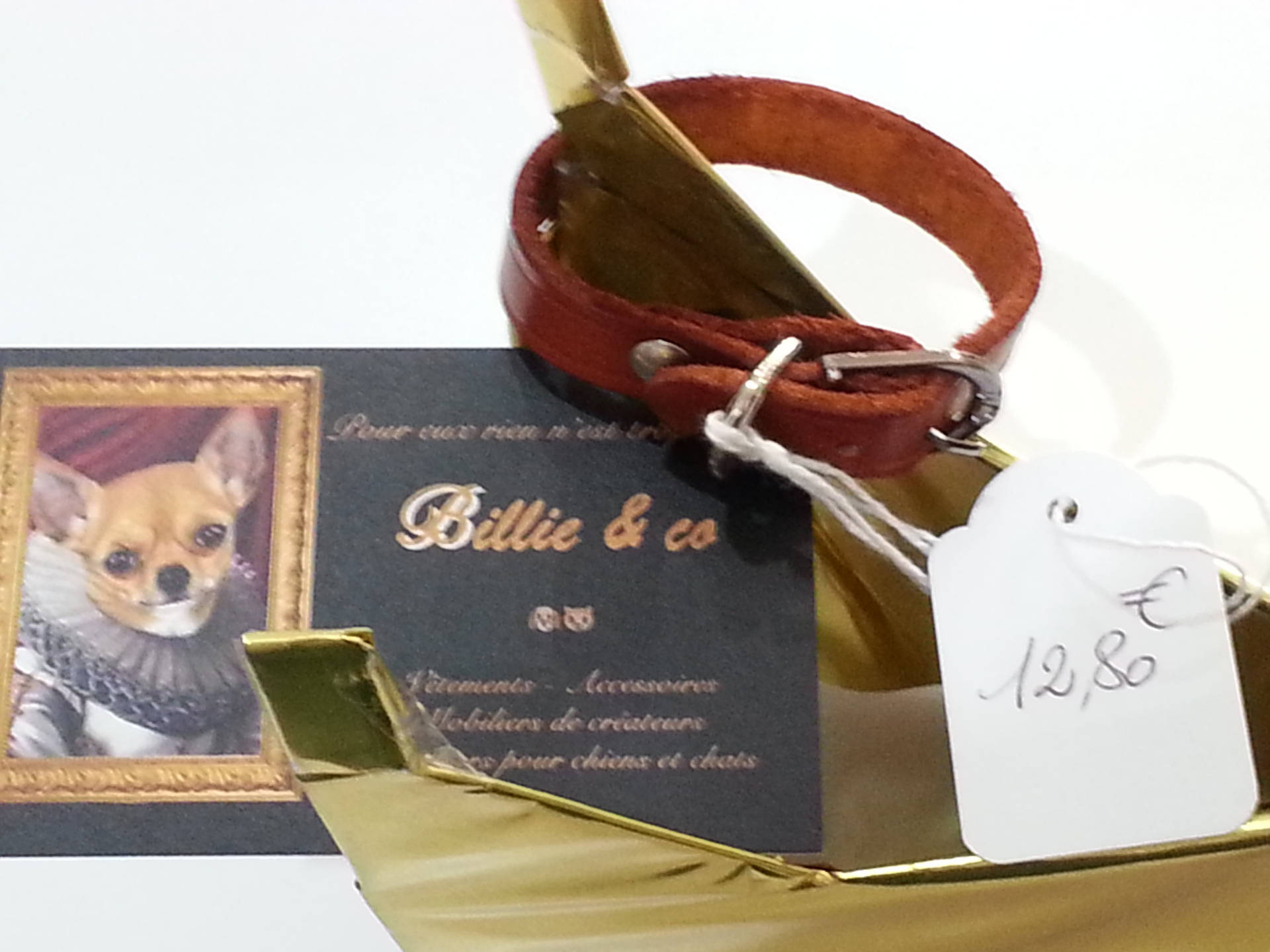 Collier en Cuir Pour Petit Chien ou Chat