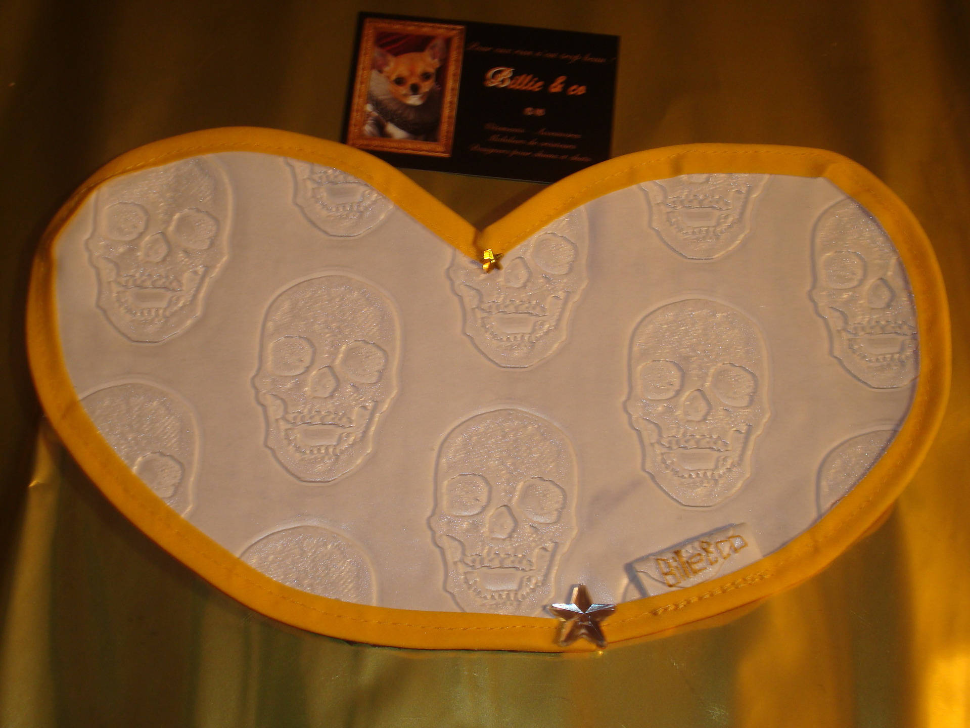 Petit Set à Gamelles Pour Chien ou Chat