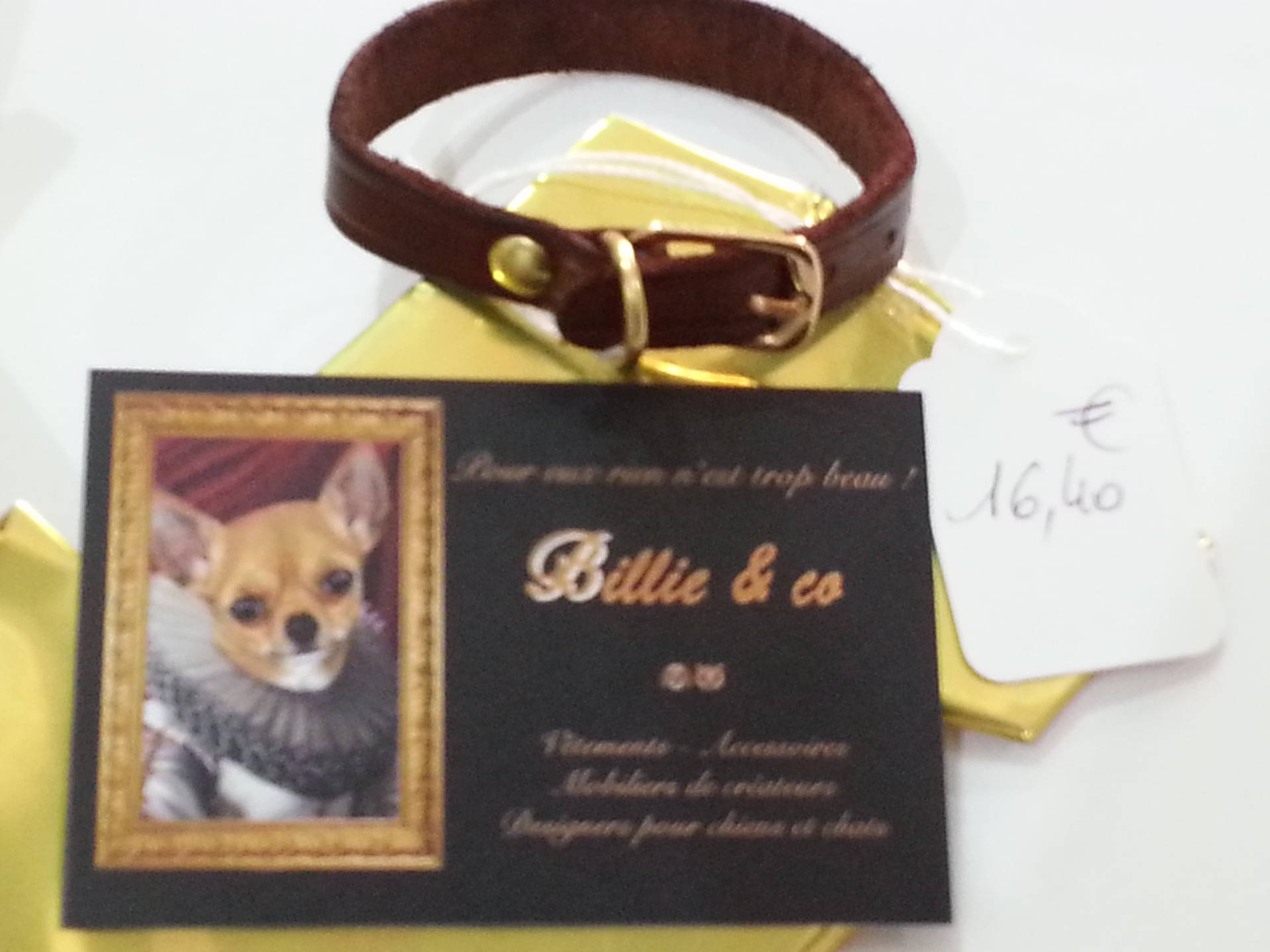 Collier en Cuir Pour Petit Chien ou Chat