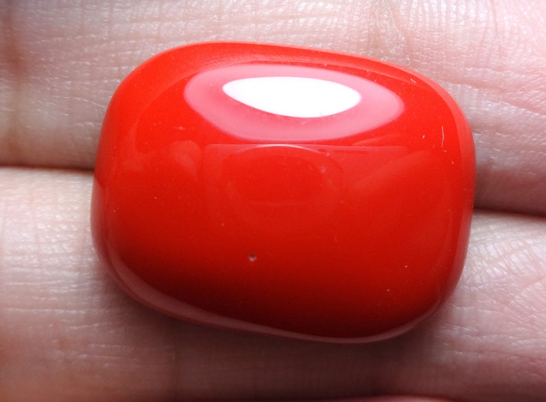 22.50 carat beautiful red color coral Cushion shape AAA++ quality single piece perfect polish cabochon loose gemstone 23x17x7 mm