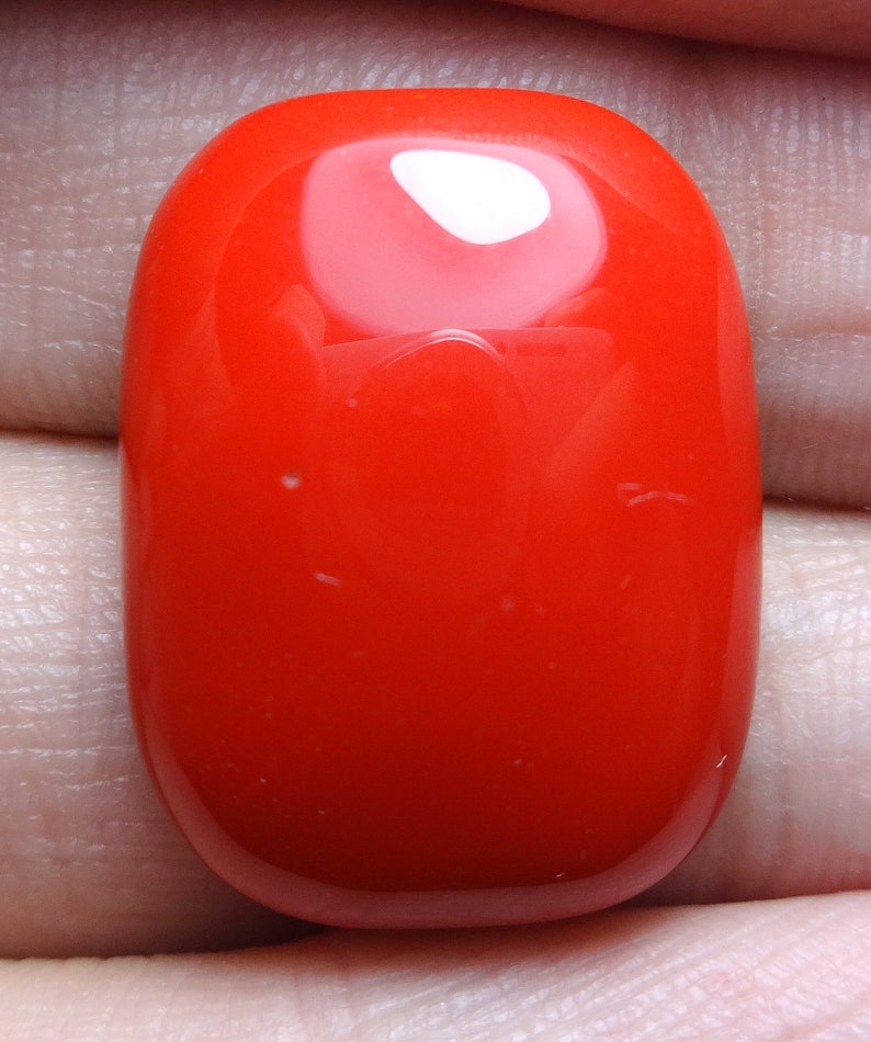 22.50 carat beautiful red color coral Cushion shape AAA++ quality single piece perfect polish cabochon loose gemstone 23x17x7 mm