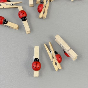Holzklammer 45 mm mit Marienkäfer 12er Set