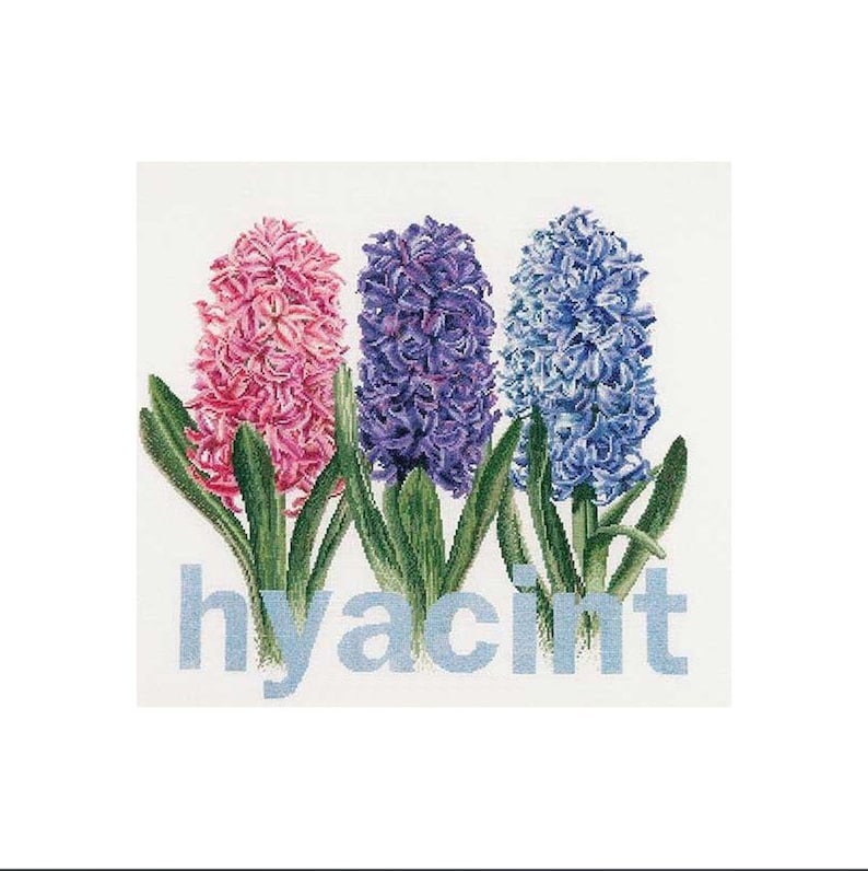 May include: A cross-stitch design featuring three hyacinth flowers in pink, purple, and blue, with green leaves. The word "hyacinth" is stitched in light blue below the flowers, set against a white background.