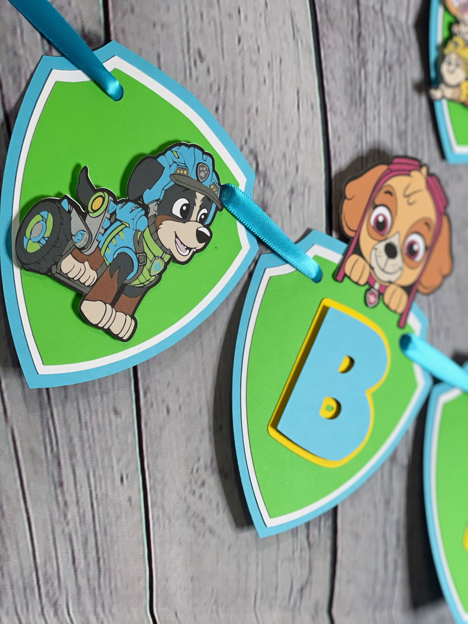 Paw patrol dino rescue party