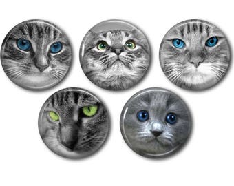 Cabochons resin 25mm or 20mm lot of 5 to choose from, round, to stick - Black and white cat 01