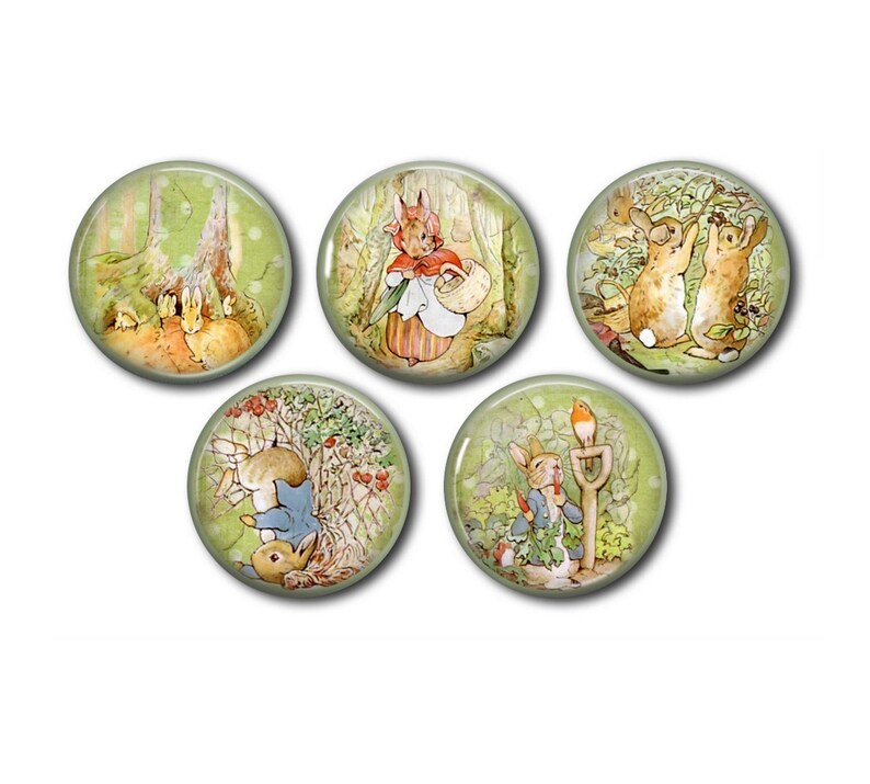 Resin cabochons, 25 or 20 mm of your choice, to glue, round, set of 5, Peter Rabbit, Lapin 01 image 1
