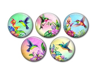 Cabochon résine rond 25 ou 20 mm au choix,à coller, lot de 5, Oiseaux pivert 02