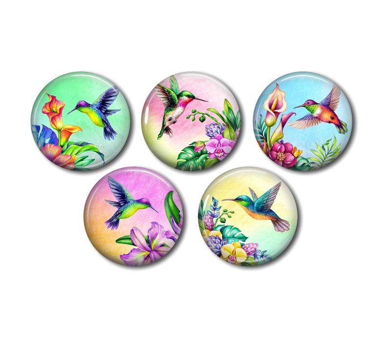 Round resin cabochon 25 or 20 mm of your choice, to glue, set of 5, Woodpecker birds 02 image 1